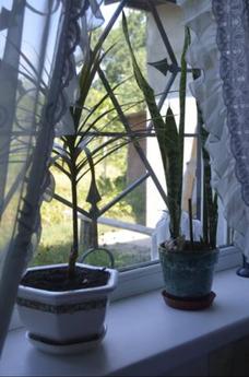 Домик у Софиевского Парка для Троих, Умань - квартира посуточно