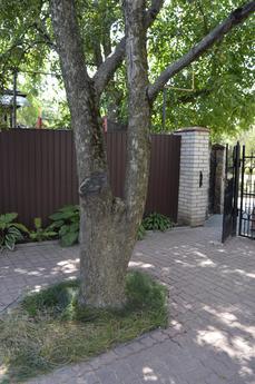 House for Two near Sofievsky Park, Uman - apartment by the day