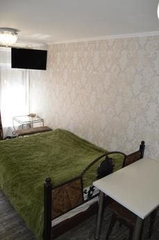 House for Two near Sofievsky Park, Uman - apartment by the day