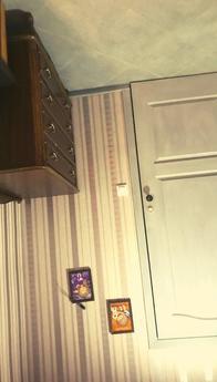 Quiet Apartments near Sofievsky Park, Uman - apartment by the day