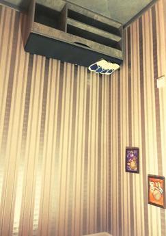 Quiet Apartments near Sofievsky Park, Uman - apartment by the day