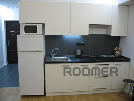 Rent an apartment in the center, Dnipro (Dnipropetrovsk) - apartment by the day