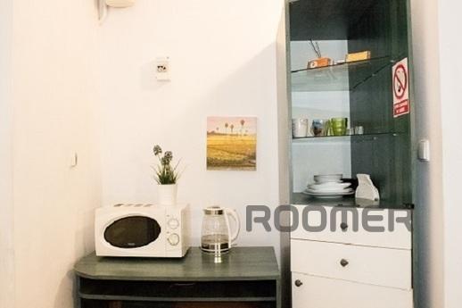 Apartment in the center near the Opera, Lviv - apartment by the day