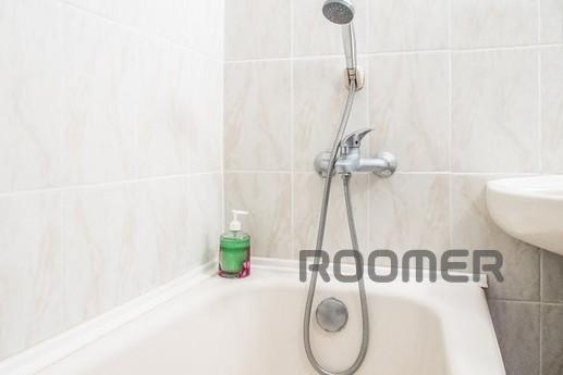 Comfortable apartment in the heart, Kyiv - apartment by the day
