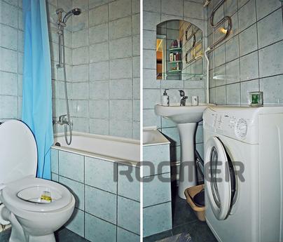 studio, newly renovated, Kyiv - apartment by the day