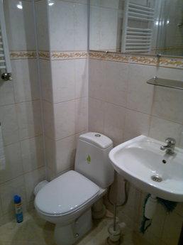 Apartment in Lviv, Lviv - apartment by the day