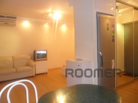 Красива квартира студія, в 100 метрах від метро Динамо. Двос