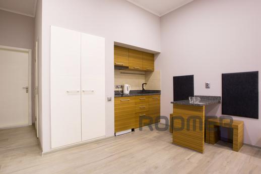 Luxurious apartment in the very center, Kharkiv - apartment by the day
