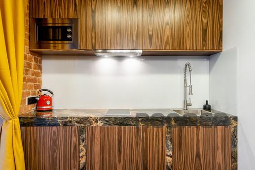 Loft on Tchaikovsky, Saint Petersburg - apartment by the day