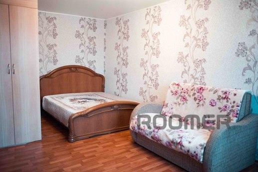 Rent for hours, days wonderful one bedroom apartment Voronez