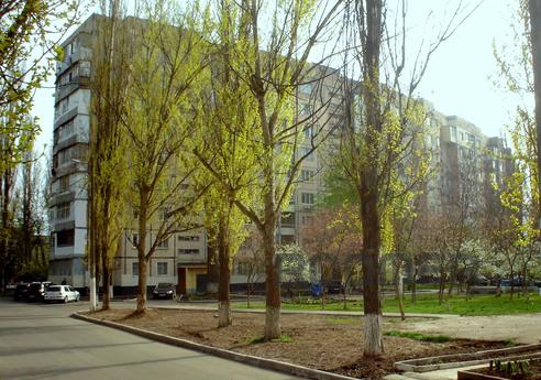 Затишна квартира в Київському р-ні, Одеса - квартира подобово