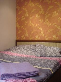 3-bedroom apartment in the center of Ros, Rostov-on-Don - apartment by the day