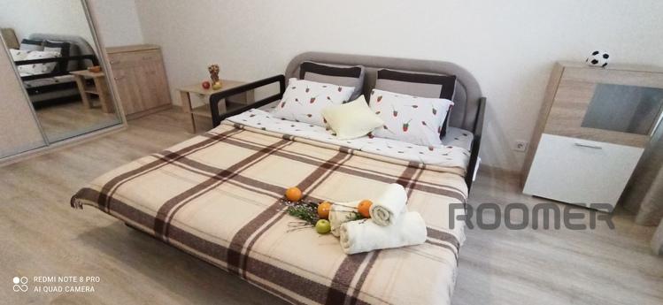 Comfortable apartment with a pleasant au, Kyiv - apartment by the day