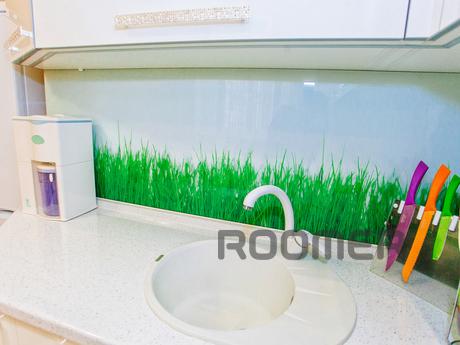 1 bedroom apartment for rent, Tyumen - apartment by the day