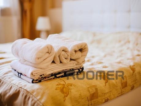 1 bedroom apartment for rent, Tyumen - apartment by the day