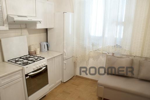 One bedroom apartment located in the center of the city, exc