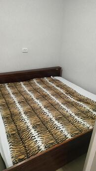 I am looking for an apartment for rent in the center of Odessa, Odessa - apartment by the day