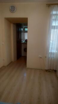 I am looking for an apartment for rent in the center of Odessa, Odessa - apartment by the day