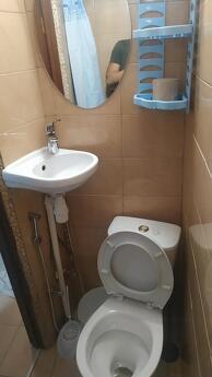 I am looking for an apartment for rent in the center of Odessa, Odessa - apartment by the day