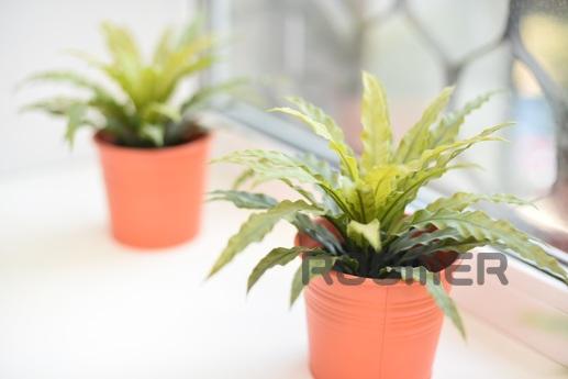 1к. кв-ра в самом ЦЕНТРЕ Екатеринбург, Екатеринбург - квартира посуточно