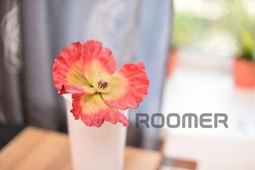 1к. кв-ра в самом ЦЕНТРЕ Екатеринбург, Екатеринбург - квартира посуточно