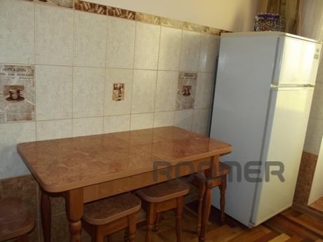 Cozy apartment in the city center, Truskavets - apartment by the day