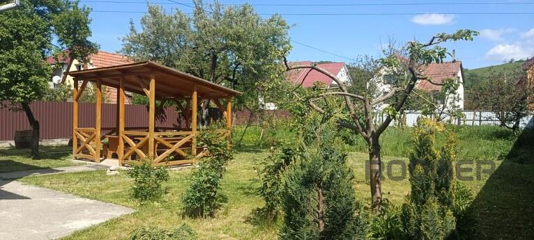 Кімнати в маленькому будинку без господаря, Берегово - квартира подобово