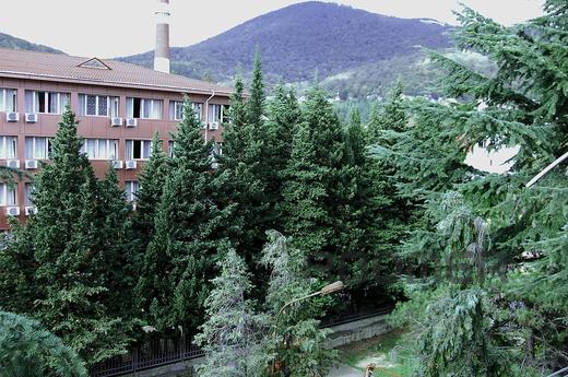 Двухкомнатная квартира в лазаревской, Сочи - квартира посуточно