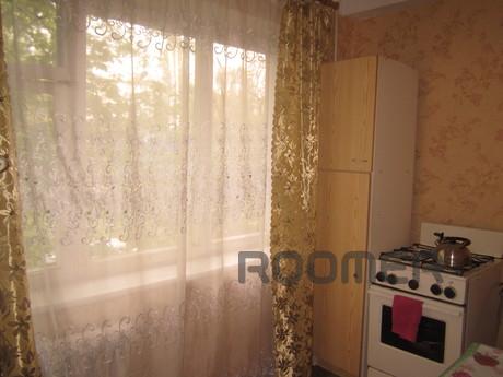 Comfortable 2k m, WI-FI, New Market, Bakhmut (Artemivsk) - apartment by the day