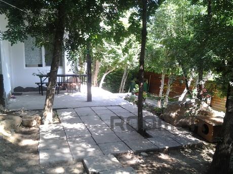 House in Livadia, Yalta - apartment by the day