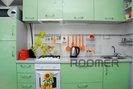 1-room apartment near the metro station, Kyiv - apartment by the day