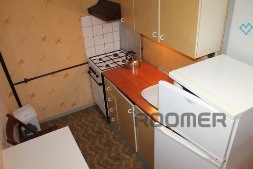 Apartment for rent in a great location, Uzhhorod - apartment by the day