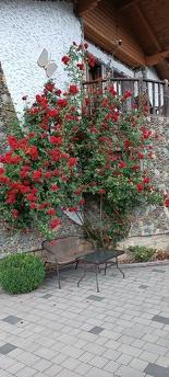 Sadiba Yanchar, Yaremcha - apartment by the day