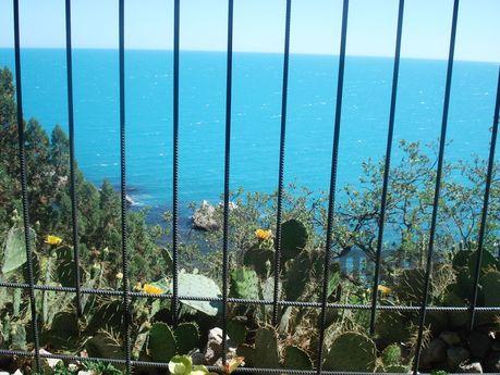 Detached house in Kastropol!, Yalta - apartment by the day