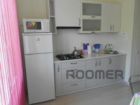Great apartment after the euro-repair, Simferopol - apartment by the day