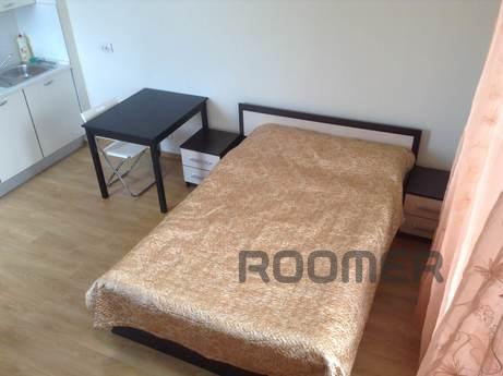 Bright and spacious one bedroom apartment with renovated and