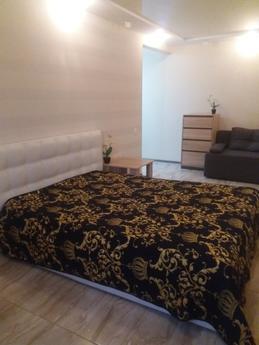 Stylish luxury apartment, Kharkiv - apartment by the day
