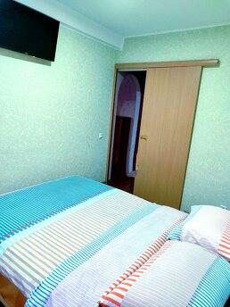 2 к.кв Шалімова, НАУ, ISIDA, Дорогожичі, Киев - квартира посуточно