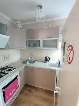 1к кв автовокзал,м Деміївська, Ягідна, Киев - квартира посуточно