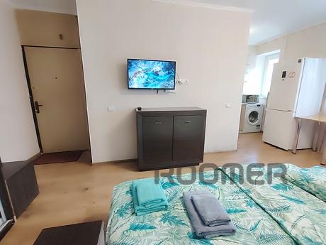 1к кв автовокзал,м Деміївська, Ягідна, Киев - квартира посуточно