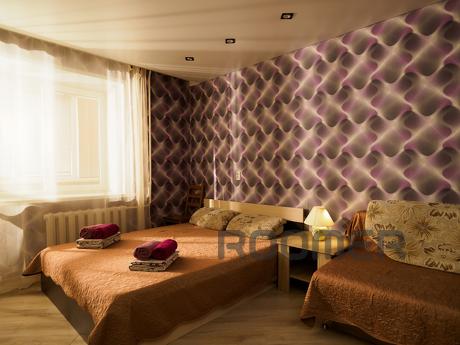 Comfortable stylish apartment with new European-quality reno