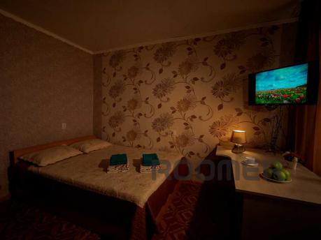 Большая, светлая, комфортная однокомнатная квартира в центре