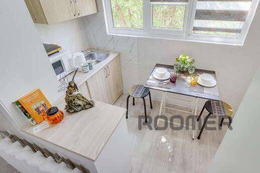 Bright double studio renovated, Almaty - apartment by the day