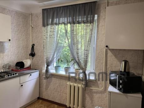 Daily rent 1 room apartment, Kamenskoe (Dniprodzerzhynsk) - apartment by the day