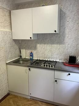 Daily rent 1 room apartment, Kamenskoe (Dniprodzerzhynsk) - apartment by the day