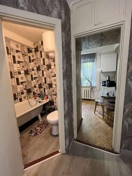 Daily rent 1 room apartment, Kamenskoe (Dniprodzerzhynsk) - apartment by the day