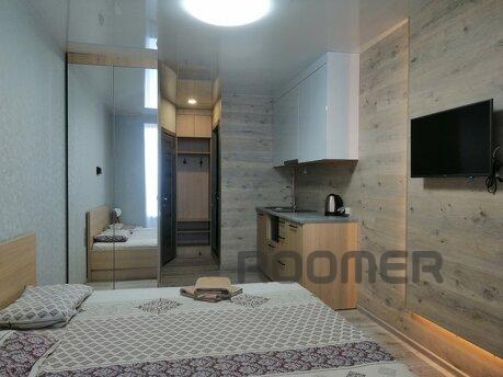 Whirlwind of addiction for one night at the best, Dnipro (Dnipropetrovsk) - apartment by the day