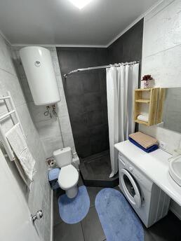 Daily rent 2 room apartment. Autonomous House, Odessa - apartment by the day