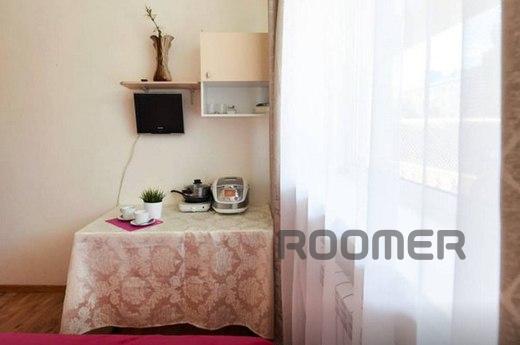 For rent studio in the center, Krasnodar - apartment by the day