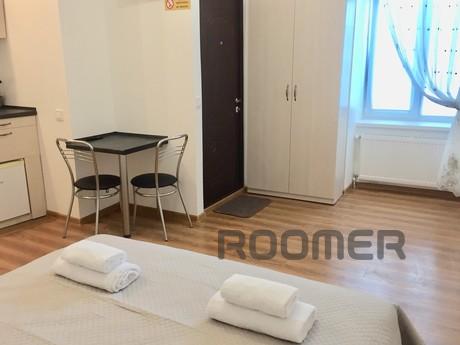 The apartment is spacious and cozy., Lviv - apartment by the day